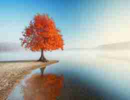 渗‌透﻿测‌试‌网‍站​